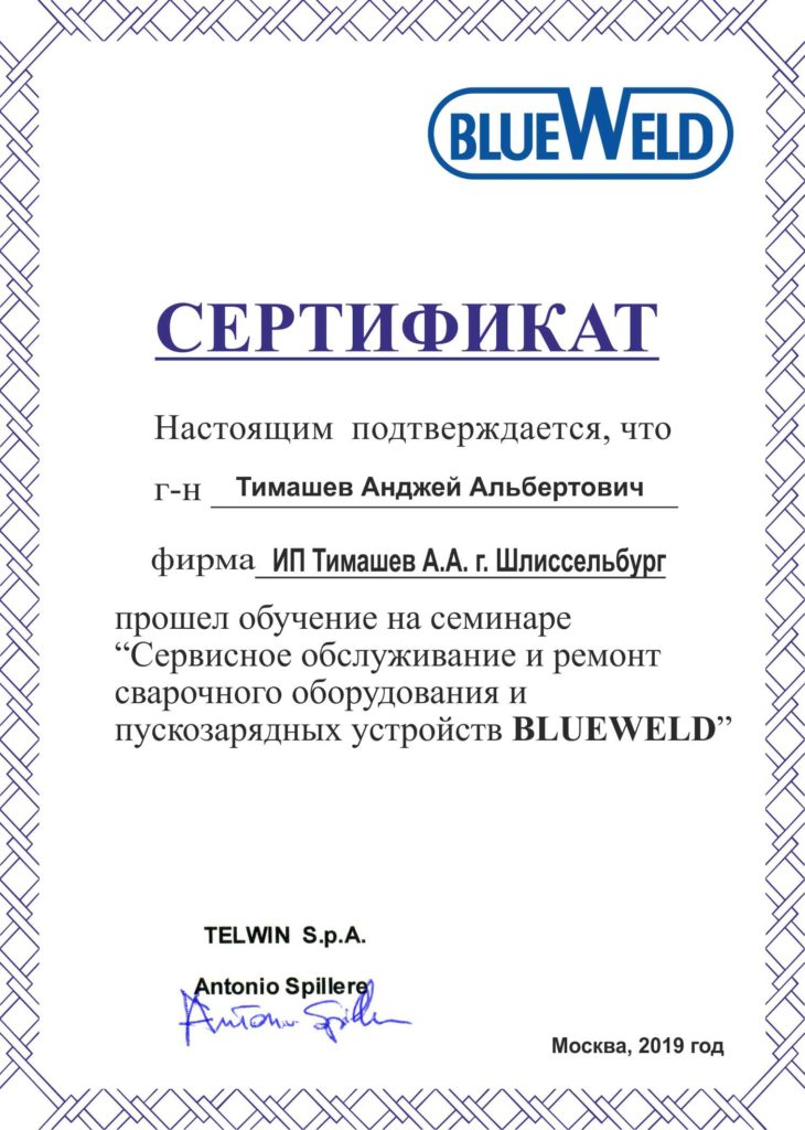 BLUEWELD · обучение, 2019